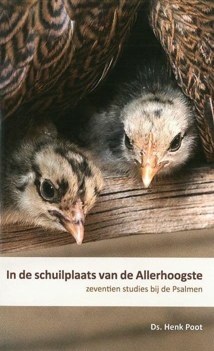 In de schuilplaats van de Allerhoogste
