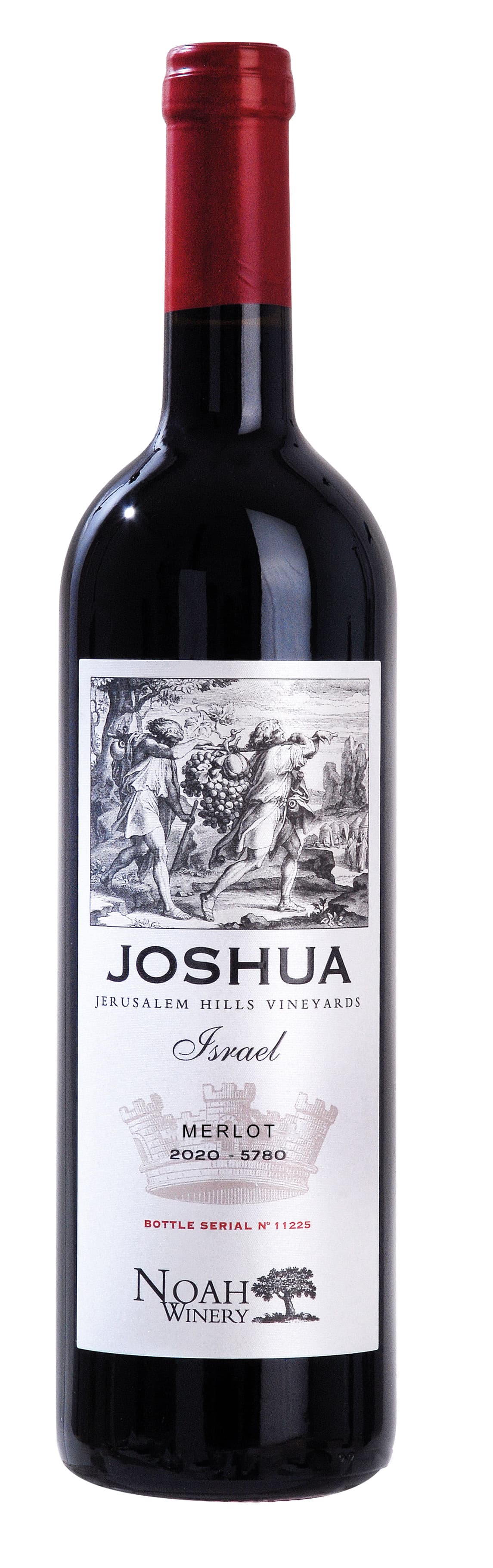 Joshua - Merlot