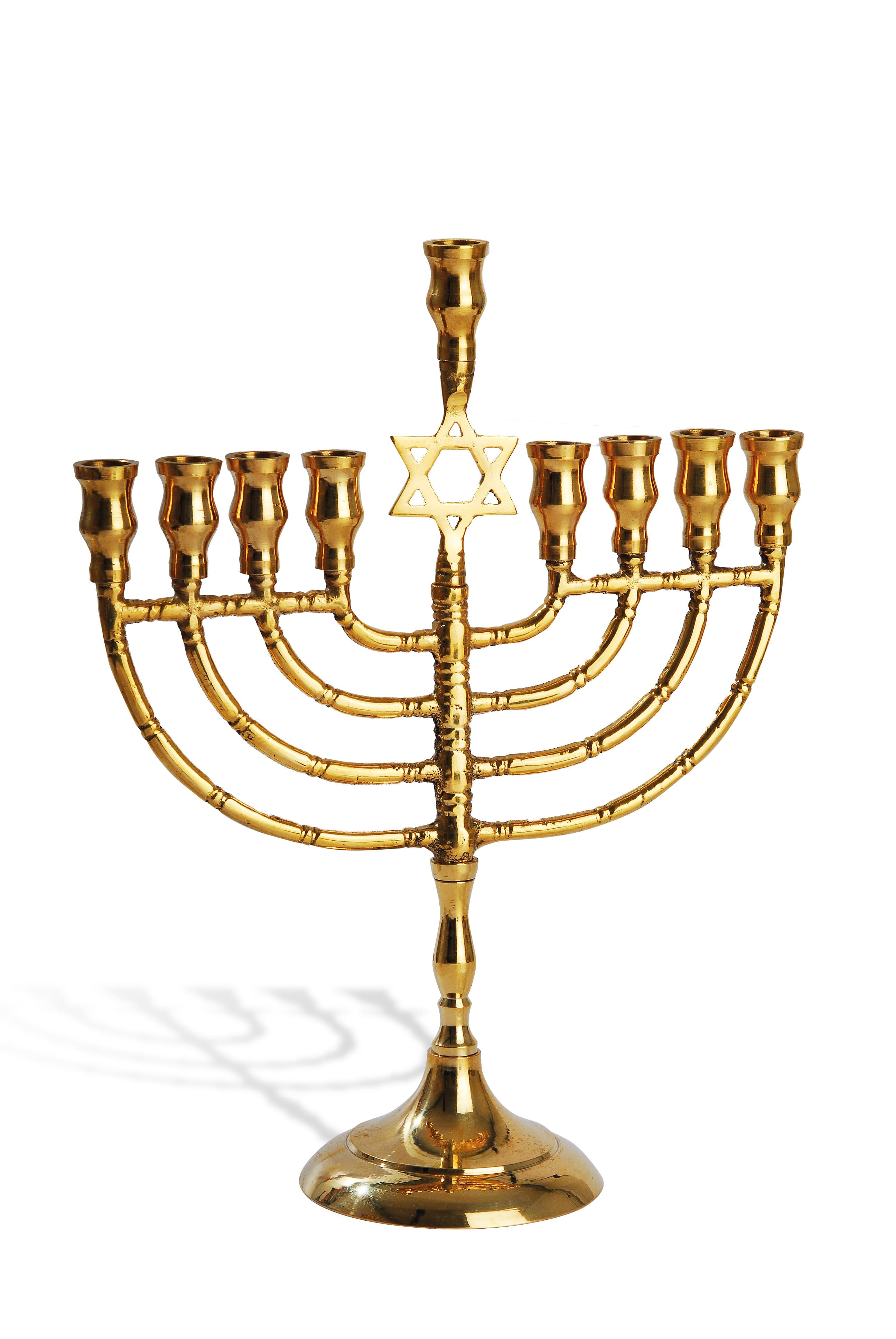 Chanoekia met Davidster glans