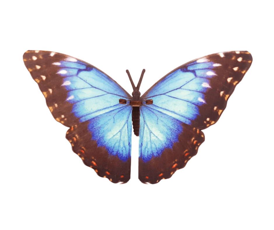 Bouwpakket vlinder - product image