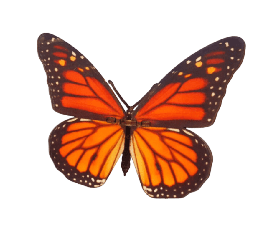 Bouwpakket vlinder - product image